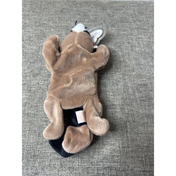 Ty Beanie Babies 1995 Retired Ringo Raccoon Plush Toy - Picture 4 of 8